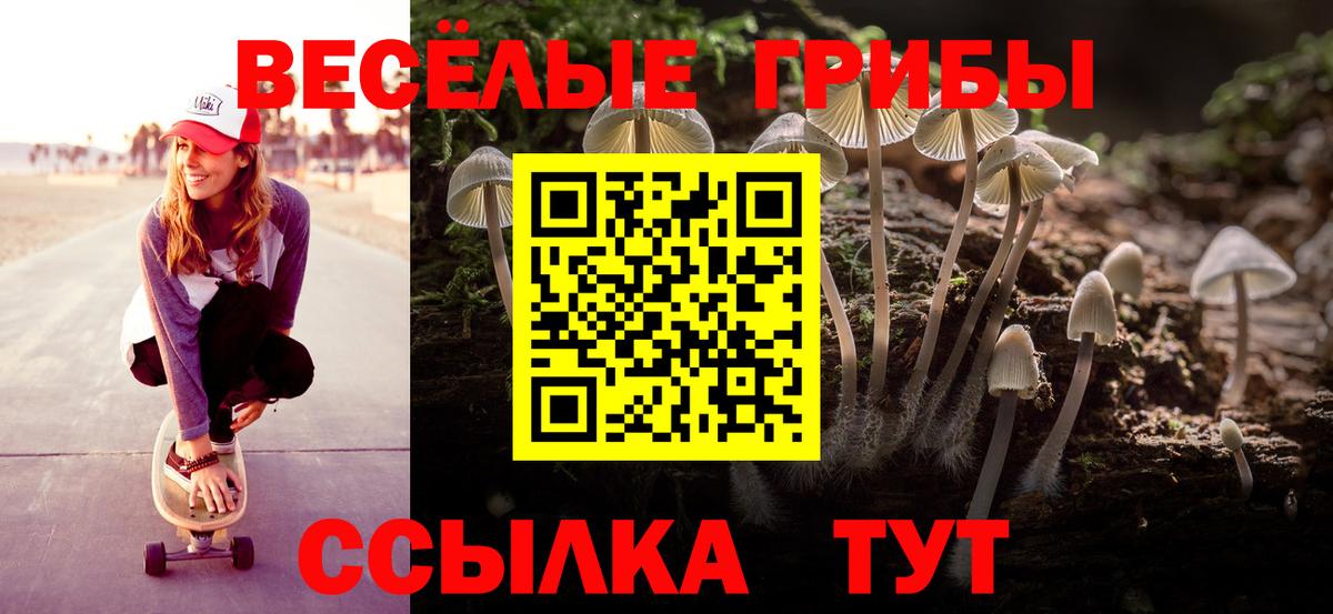 Старая Русса  Псилоцибиновые грибы ЛСД  Вход с VPN 